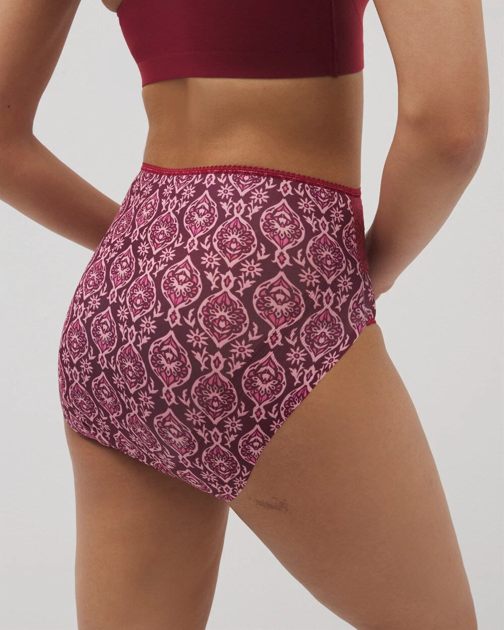 Soma / Vanishing Edge Microfiber Modern Brief Panty with Lace PLENTIFUL PIECES KISS