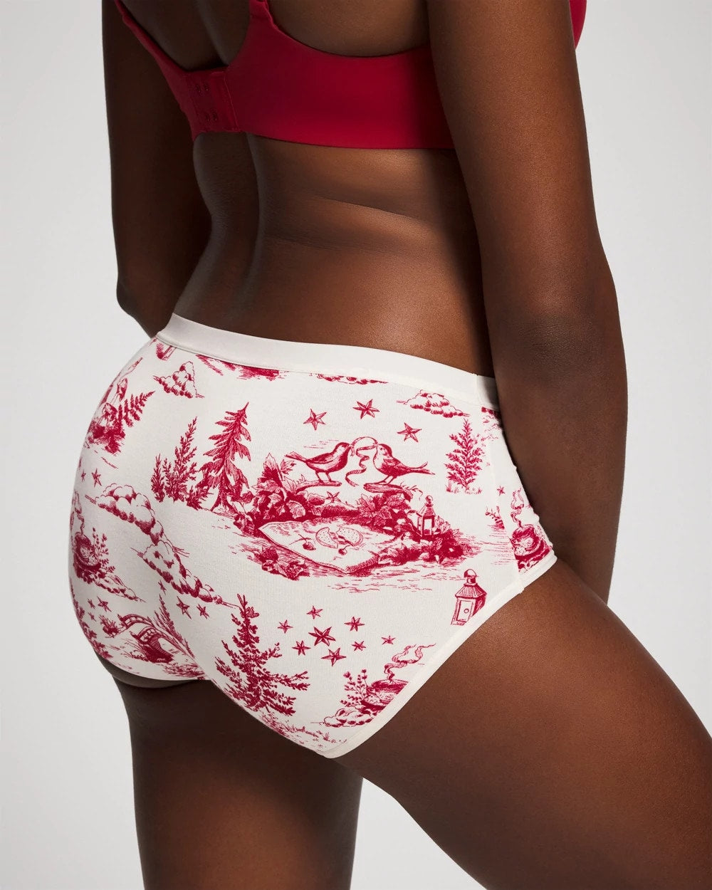 Soma / Cotton Modern Brief Panty ENCHANTED TOILE CHAMPAGNE