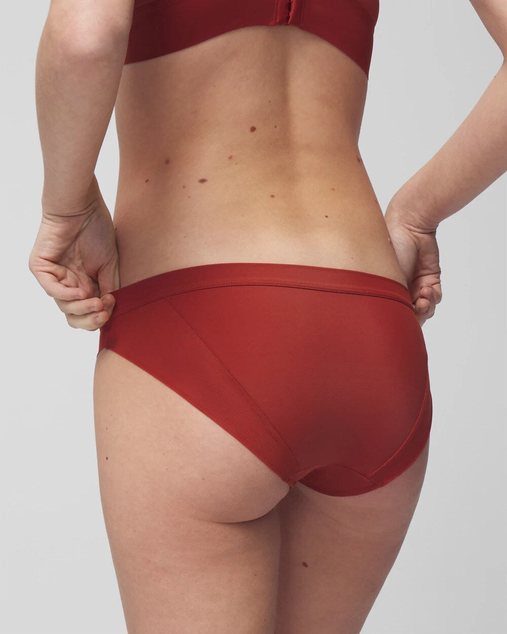 Soma / Mesh Bikini Panty SIERRA REDWOOD